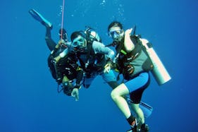 Diving In Maafushi