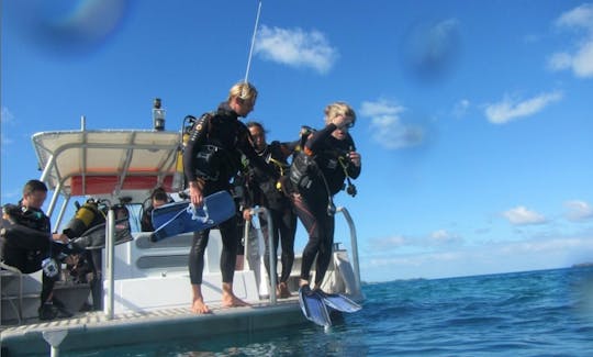 Dive Boat In Bora Bora, Vaitape