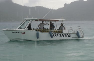 Dive Boat In Bora Bora, Vaitāpē