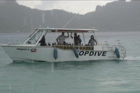 Dive Boat In Bora Bora, Vaitāpē