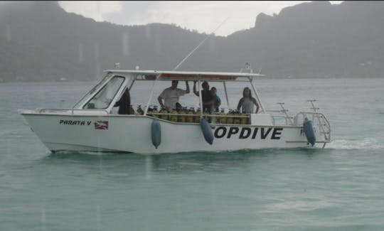 Dive Boat In Bora Bora, Vaitape