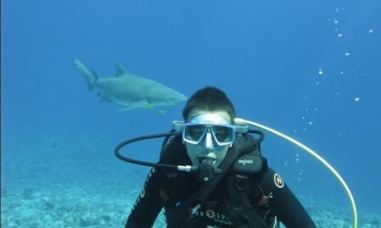 Dive Boat In Bora Bora, Vaitape