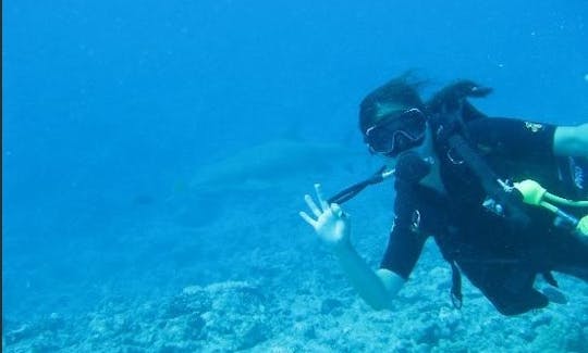 Dive Boat In Bora Bora, Vaitape