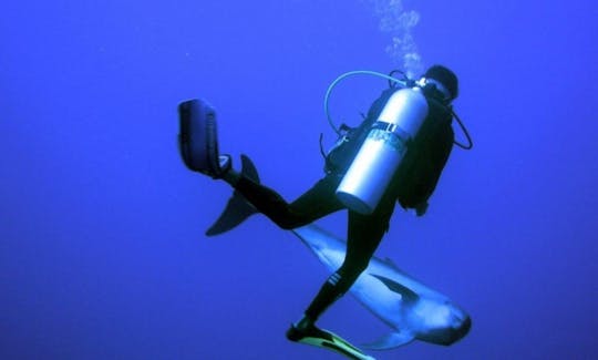 Barco de buceo en Rangiroa