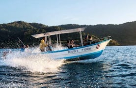 Boat Fishing Charter and Tours in Playa Malpais