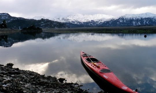 Lodge Boat Excursion In Halibut Cove