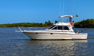 Fishing Charter On 40' Camargue Carbras Mar Sports Fisherman Yacht In Bahia, Brazil