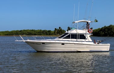 Fishing Charter On 40' Camargue Carbras Mar Sports Fisherman Yacht In Bahia, Brazil