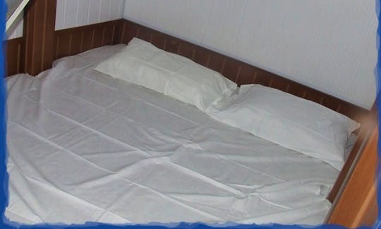 Cat Netuno state room bed - Abrolhos, BA