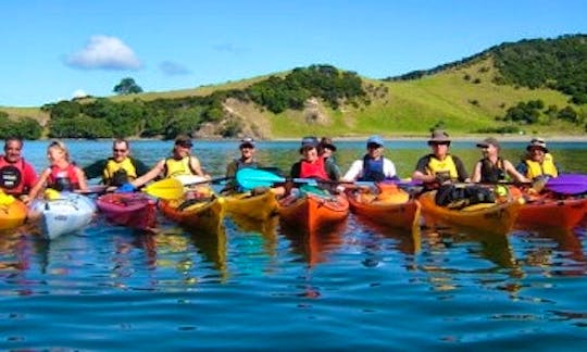 Sea Kayaking Beginner Coruse In Taranaki