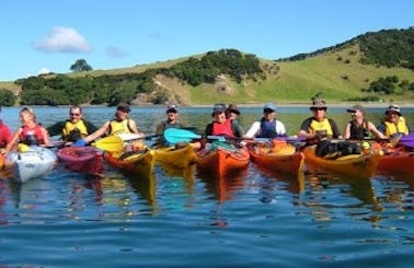 Sea Kayaking Beginner Coruse In Taranaki