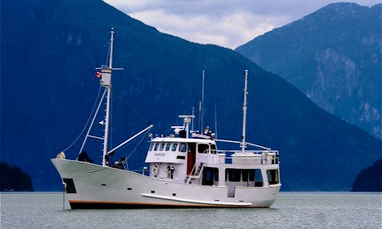 Torsk at anchor