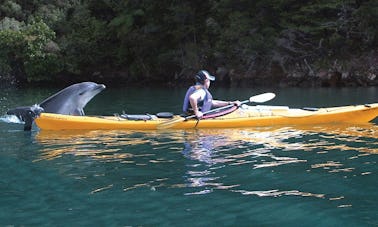 Alquiler de kayaks en Linkwater