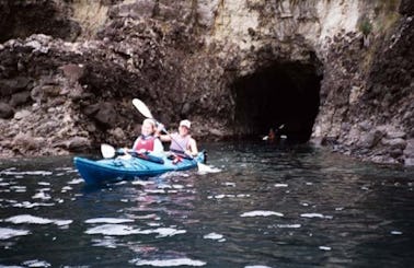 Sea Kayaking Tours In Cape Foulwind