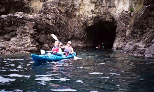 Sea Kayaking Tours In Cape Foulwind