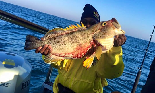 FISHING CHARTERS OR BOAT RIDES OFF DURBAN