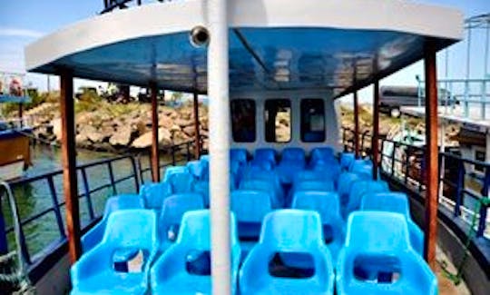 Whale Watching Tour In Weligama