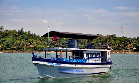 Whale Watching Tour In Weligama