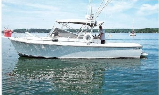 31' Fishing Charter In Piti