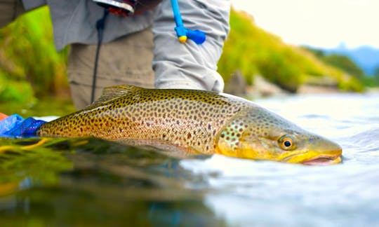 Guided fly fishing in Wanaka and Queenstown, New Zealand