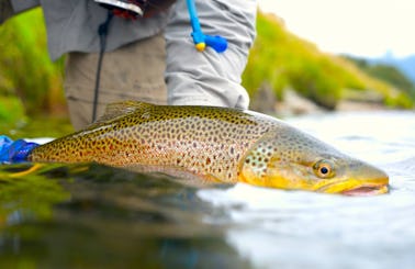 Guided fly fishing in Wanaka and Queenstown, New Zealand