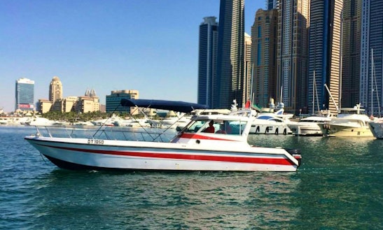 33ft Gulf Craft Dolphin Style Fishing Charter And Day Tour In Dubai, United Arab Emirates