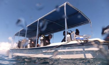 Passenger Boat Diving Trips in Meyungs, Palau