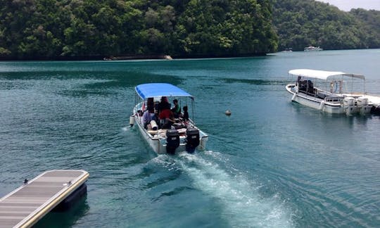 パラオ、メユングスでの旅客船ダイビングツアー