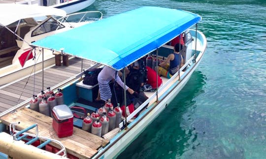 Passenger Boat Diving Trips in Meyungs, Palau