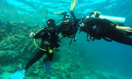 Scuba Diving Trips & Courses Availabale In Dahab, Egypt