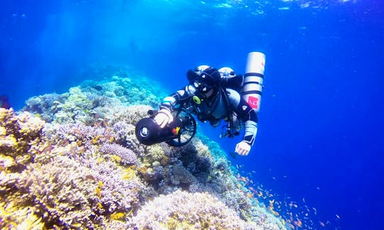 Scuba Diving Trips & Courses Availabale In Dahab, Egypt