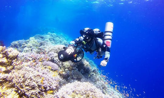 Scuba Diving Trips & Courses Availabale In Dahab, Egypt