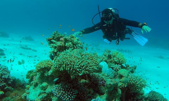 Scuba Diving Trips & Courses Availabale In Dahab, Egypt