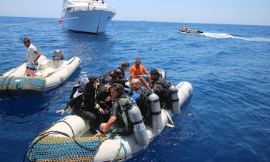 Scuba Diving Trips & Courses Availabale In Dahab, Egypt