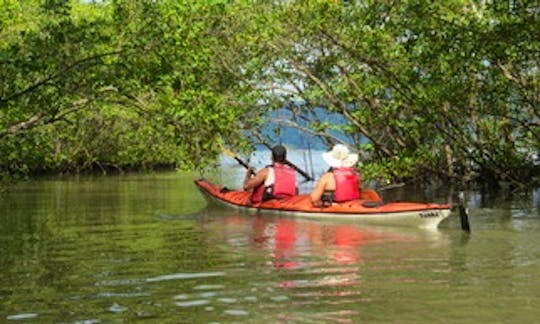 Half Day Kayak Rental in Paraty, Brazil