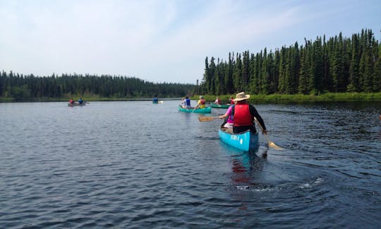 Paddle the beautiful swan lake canoe system.