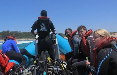 RIB Diving Trips in Scottburgh, South Africa