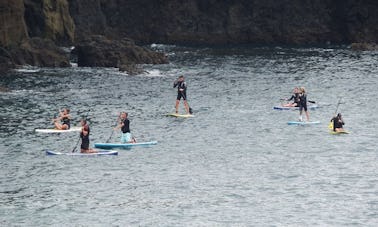 Passeio de SUP em Goad Island