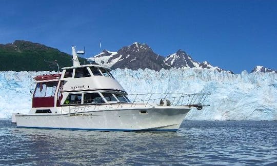 48' Motor Yacht Charter in Halibut Cove, Alaska