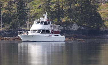 Aluguer de iates a motor de 48 pés em Halibut Cove, Alasca