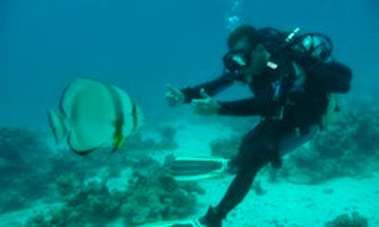 Scuba Diving In Egypt