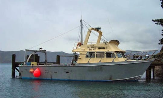 45' Head Boat "Western Break" Cruising & Fishing & Diving in Nopera, New Zealand