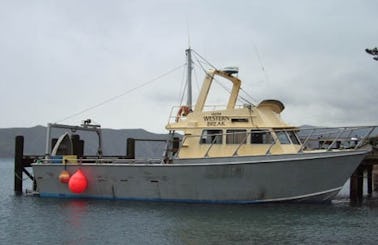 45' Head Boat "Western Break" Cruising & Fishing & Diving in Nopera, New Zealand