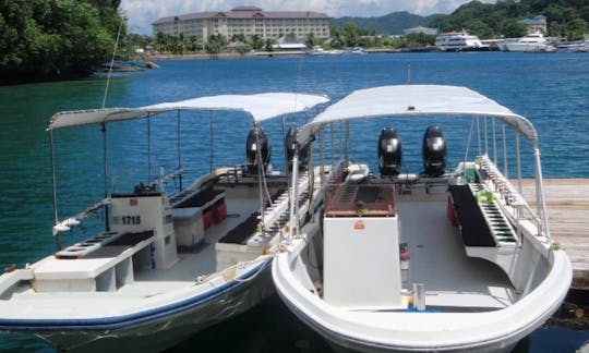 Dive Boats In Koror