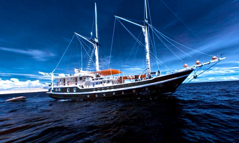 Liveaboard Dive Cruises In Indonesia Getmyboat Liveaboard Dive Cruises In Indonesia Getmyboat