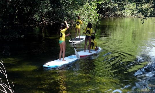 Best SUP instruction lessons in Vila Praia de Ancora, Portugal