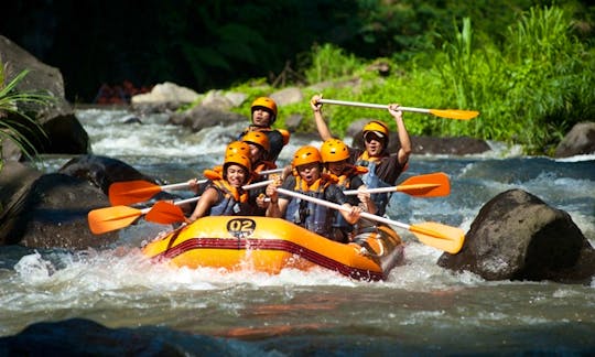 Try an Exciting Day of Rafting in Ubud!