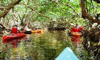 Group Kayaking Tours and Rentals in Big Pine Key, Florida