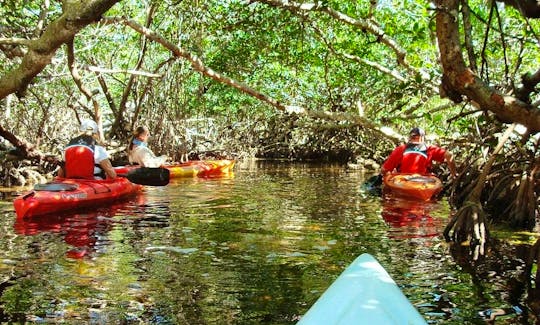 Group Kayaking Tours and Rentals in Big Pine Key, Florida