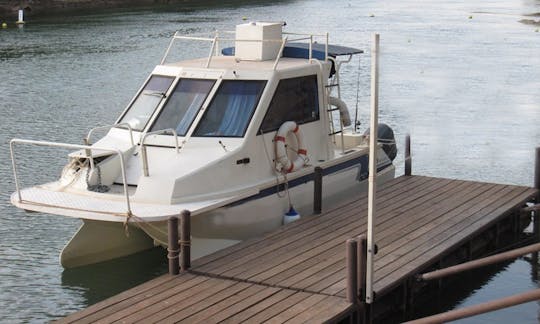 24' Fishing Boat In Apia